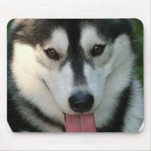 Schlitten-Hundemausunterlage Mousepad