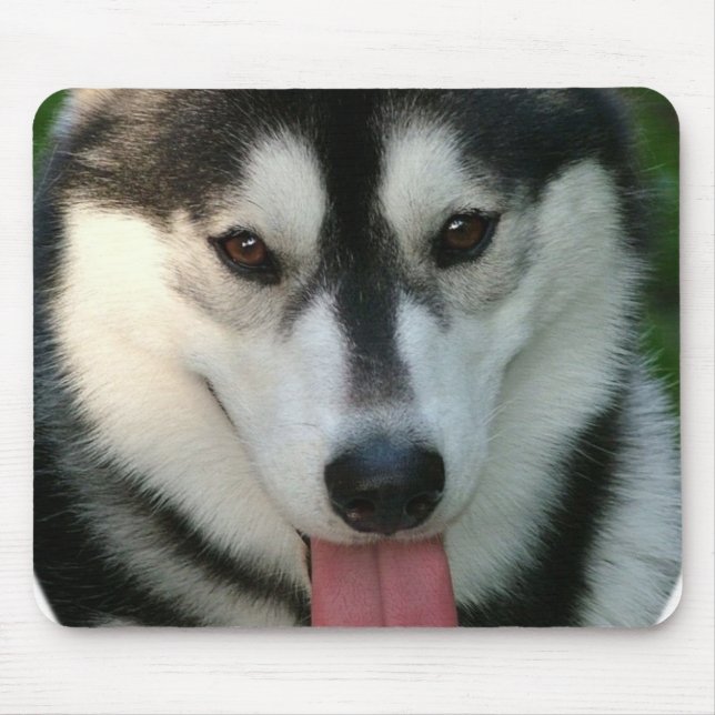 Schlitten-Hundemausunterlage Mousepad (Vorne)