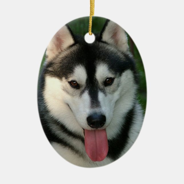 Schlitten-Hundeverzierung Keramik Ornament (Vorne)