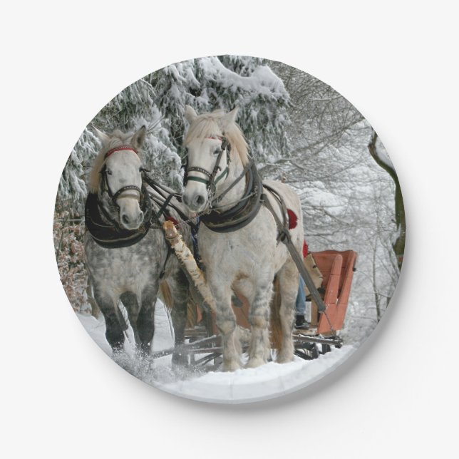 Schlittenfahrt im Winter Wunderland Pappteller (Vorderseite)