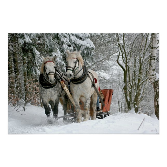Schlittenfahrt im Winter Wunderland Poster (Vorderseite)