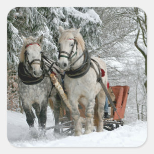 Schlittenfahrt im Winter Wunderland Quadratischer Aufkleber