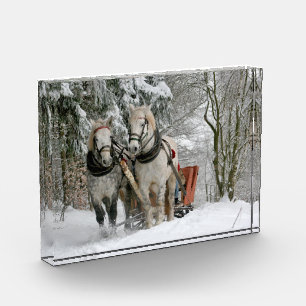 Schlittenfahrt, Schnee, Wald, Pferd, Winter, weiß, Fotoblock