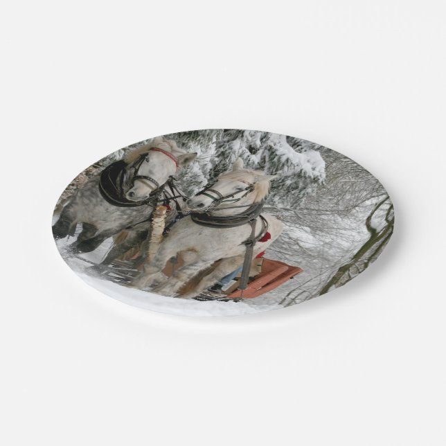 Schlittenfahrt, Schnee, Wald, Pferd, Winter, weiß, Pappteller (Schrägansicht)