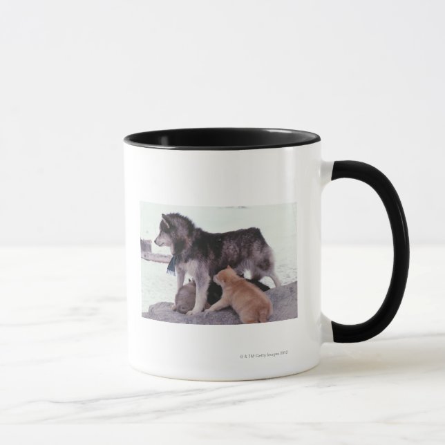 Schlittenhund mit Sänfte der Welpen Tasse (Rechts)