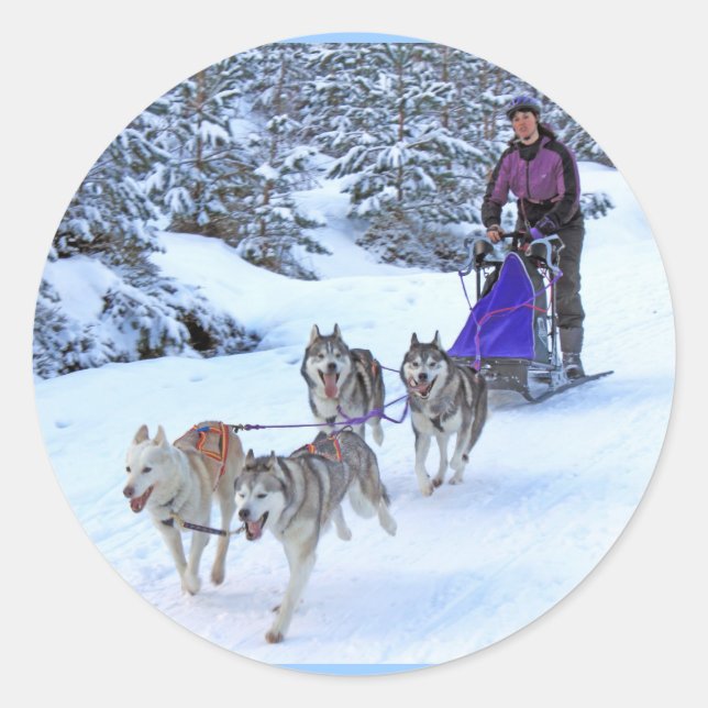 Schlittenhunde Runder Aufkleber (Vorderseite)