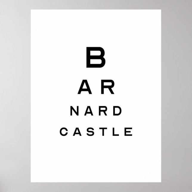 Schloss Barnard Augustift Poster (Vorne)