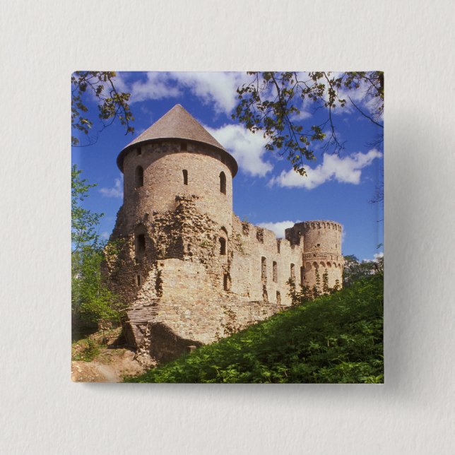Schloss Cesis in Mittelletten. Button (Vorderseite)
