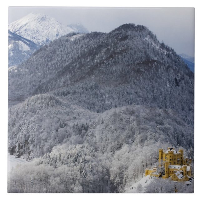 Schloss Hohenschwangau Fliese (Vorderseite)