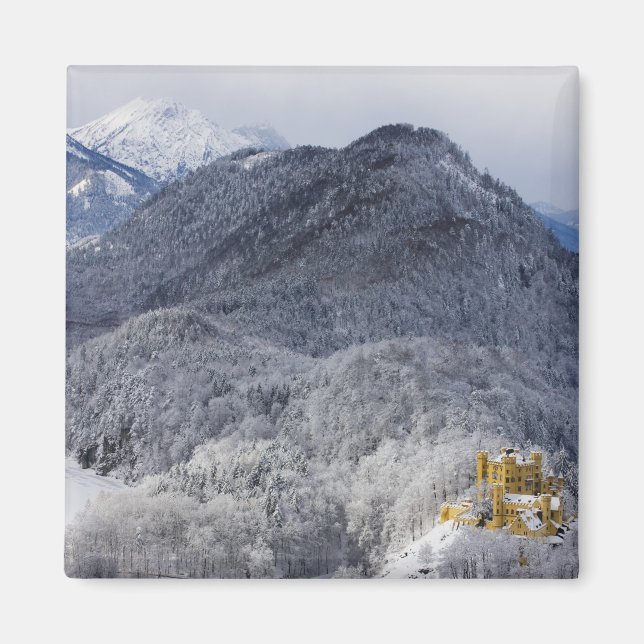 Schloss Hohenschwangau Magnet (Vorne)
