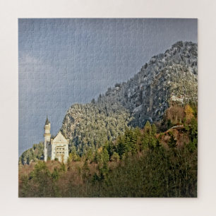 Schloss Neuschwanstein - Deutschland - 20x20 - 676