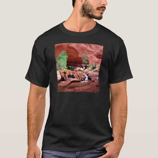 Schlucht-KojoteGulch Escalante Riverutah T-Shirt (Vorderseite)