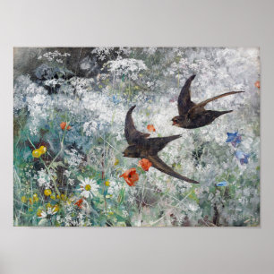 Schlucht und Blume Field, Bruno Liljefors Poster