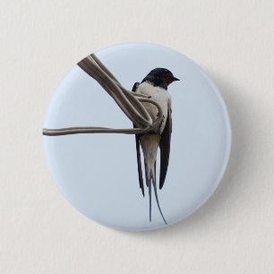 Schlucken Button