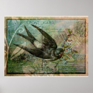 Schlucken mit Blume Poster