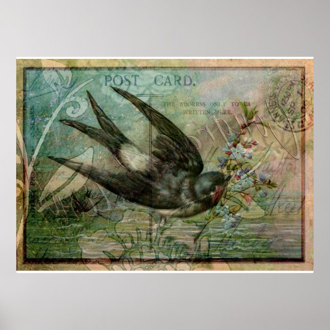 Schlucken mit Blume Poster (Vorne)