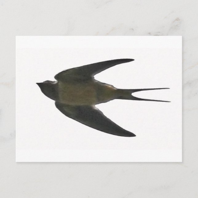 Schlucken Postkarte (Vorderseite)