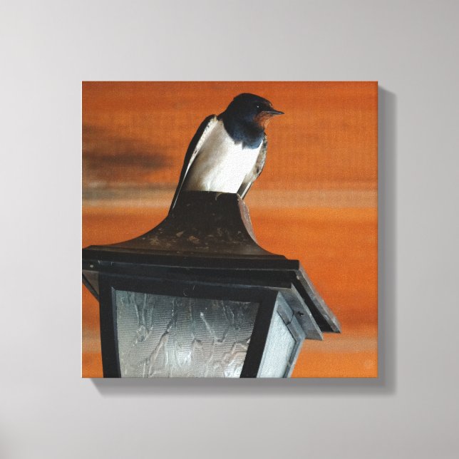 Schlucken Sie auf einem Lamp Foto Single Print Lei Leinwanddruck (Vorderseite)