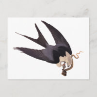 Schlucken Sie den Schwanz Hawk mit Snake Vintag Au
