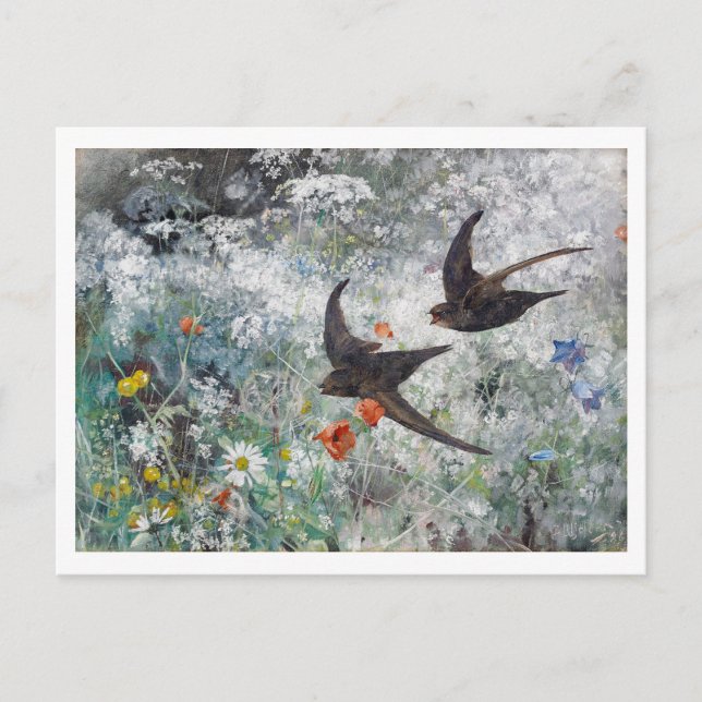 Schlucken und Blume Field, Bruno Liljefors Postkarte (Vorderseite)