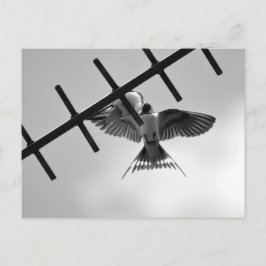 Schlucken und Flecken Postkarte