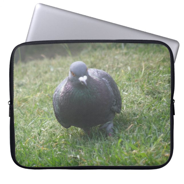 Schlupftaube Laptopschutzhülle (Vorderseite)
