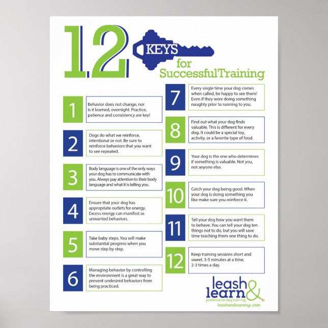 Schlüssel für erfolgreiches Dog Training Poster (Vorne)