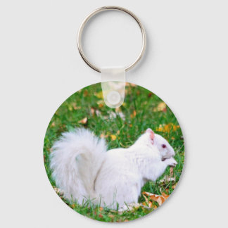 Schlüsselanhänger - Albino-Eichhörnchen
