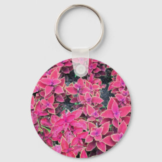 Schlüsselanhänger Coleus Pflanze rosa