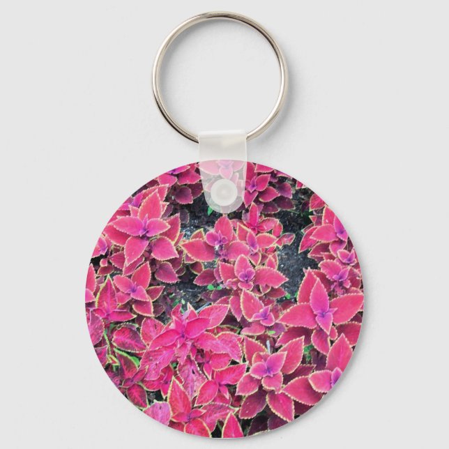 Schlüsselanhänger Coleus Pflanze rosa (Vorderseite)