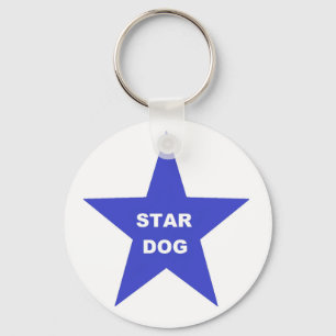 Schlüsselanhänger der Kette auf Blue Star
