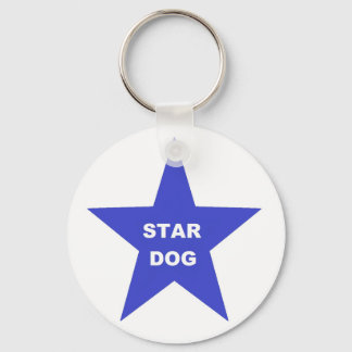 Schlüsselanhänger der Kette auf Blue Star