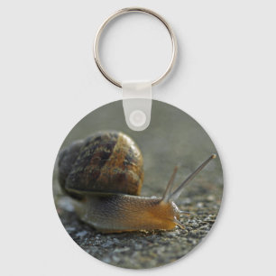 Schlüsselanhänger der Schnecke-1