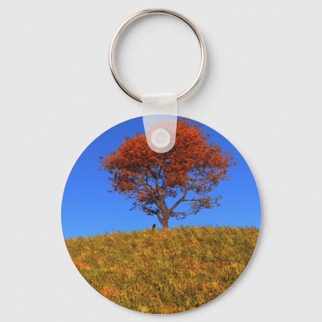 Schlüsselanhänger des Herbsttages löschen (Vorderseite)
