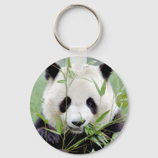 Schlüsselanhänger Foto Riesenpanda. Panda Geant.