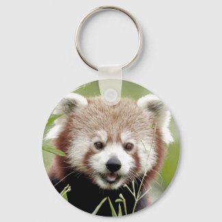 Schlüsselanhänger Foto roter Panda. Panda roux.