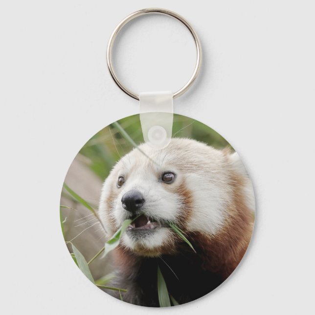 Schlüsselanhänger Foto roter Panda, Tiere 0326. (Vorderseite)