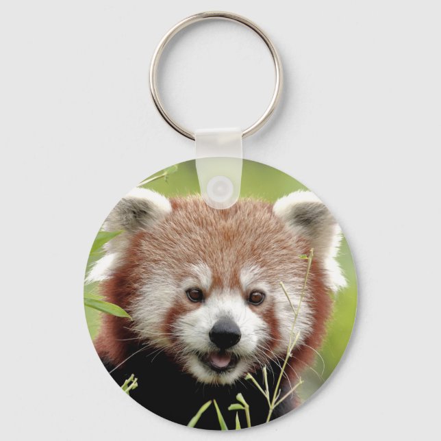 Schlüsselanhänger Foto roter Panda, Tiere 0328. (Vorderseite)