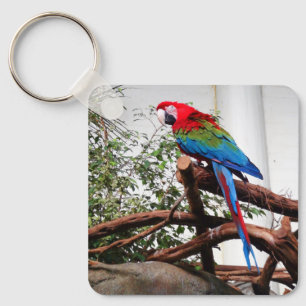 Schlüsselanhänger "Green-Winged Macaw #3"