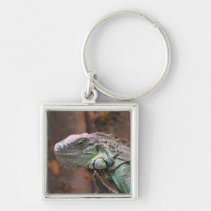 Schlüsselanhänger mit farbiger Iguana-Eidechse