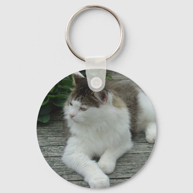 Schlüsselanhänger oder Keyring - Coon Cat Image 1  (Vorderseite)