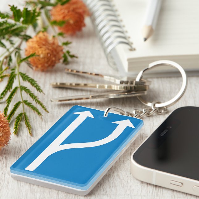 Schlüsselanhänger "Straßenschildkröten" (Von Creator hochgeladen)