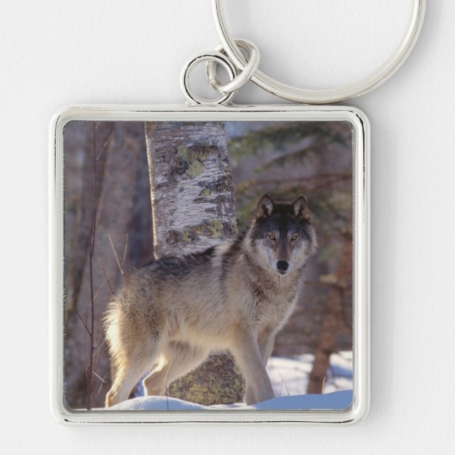 Schlüsselanhänger-Wolf-Schlüsselanhänger Schlüsselanhänger (Vorne)