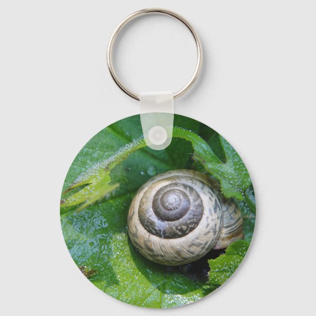 Schlüsselger Ō Schnecke Schlüsselanhänger (Vorderseite)