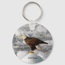 Schlüsselkette Bald Eagle