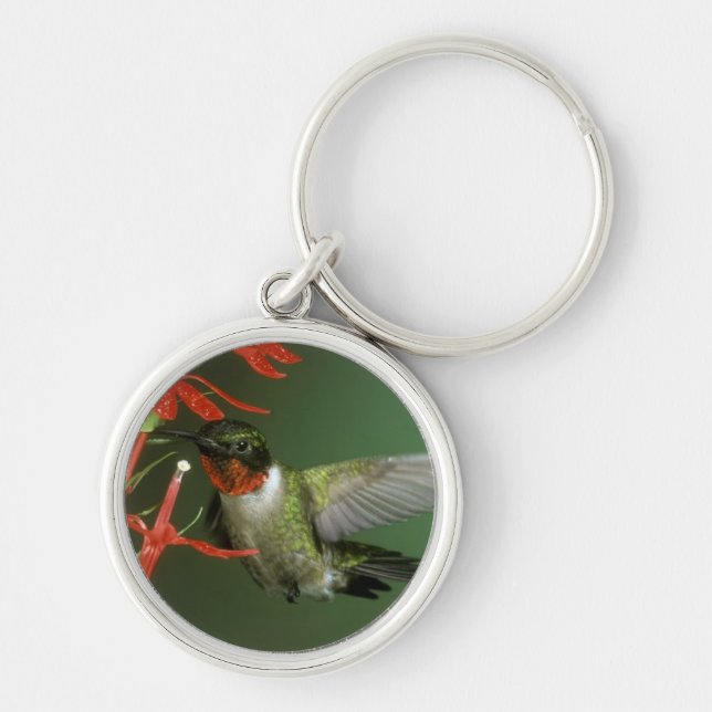 Schlüsselkette des Kolibris 2 Schlüsselanhänger (Vorne)