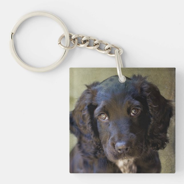 Schlüsselkette des niedlichen Welpen Schlüsselanhänger (Vorderseite)