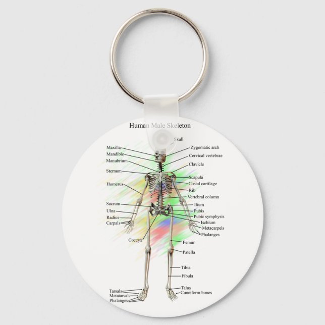 Schlüsselkette des Skeletts von Männern Schlüsselanhänger (Vorderseite)