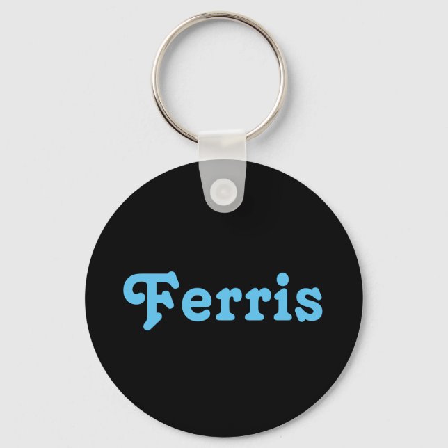 Schlüsselkette Ferris Schlüsselanhänger (Vorderseite)