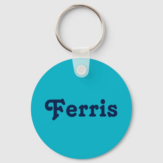 Schlüsselkette Ferris Schlüsselanhänger (Vorderseite)